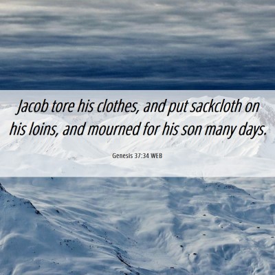 Picture 06 - Genesis 37:34 WEB - Jacob tore his clothes, and put sackcloth on his - Bible Verse Picture