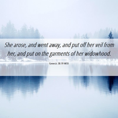 Picture 06 - Genesis 38:19 WEB - She arose, and went away, and put off her veil - Bible Verse Picture