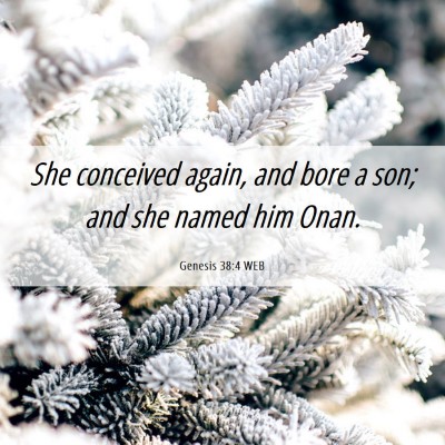 Picture 06 - Genesis 38:4 WEB - She conceived again, and bore a son; and she - Bible Verse Picture