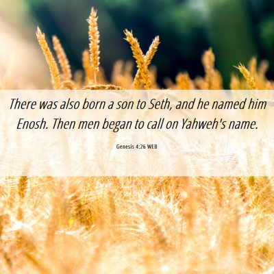 Picture 06 - Genesis 4:26 WEB - There was also born a son to Seth, and he named - Bible Verse Picture