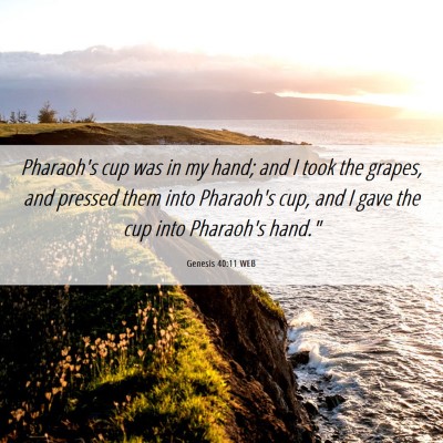 Picture 06 - Genesis 40:11 WEB - Pharaoh's cup was in my hand; and I took the - Bible Verse Picture