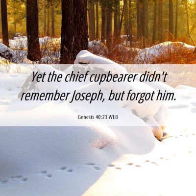 Picture 06 - Genesis 40:23 WEB - Yet the chief cupbearer didn't remember Joseph, - Bible Verse Picture