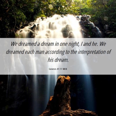Picture 06 - Genesis 41:11 WEB - We dreamed a dream in one night, I and he. We - Bible Verse Picture