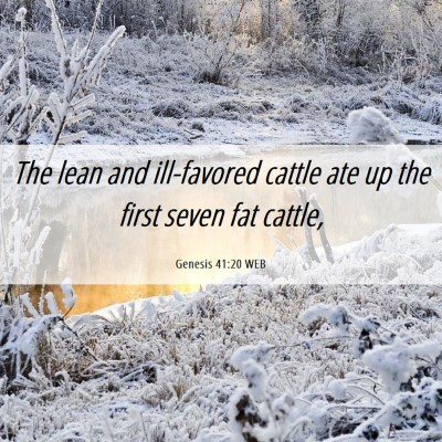 Picture 06 - Genesis 41:20 WEB - The lean and ill-favored cattle ate up the first - Bible Verse Picture