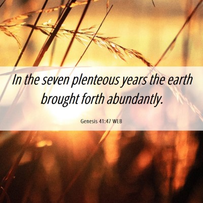 Picture 06 - Genesis 41:47 WEB - In the seven plenteous years the earth brought - Bible Verse Picture