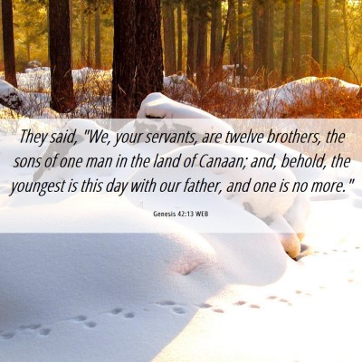 Picture 06 - Genesis 42:13 WEB - They said, 