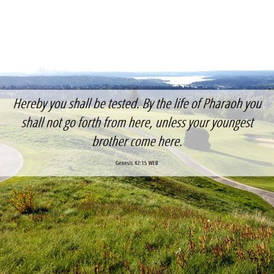 Picture 06 - Genesis 42:15 WEB - Hereby you shall be tested. By the life of - Bible Verse Picture