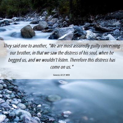 Picture 06 - Genesis 42:21 WEB - They said one to another, 