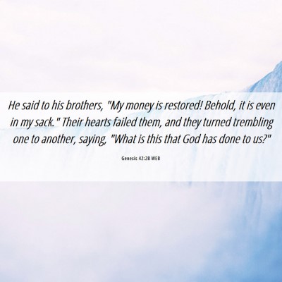 Picture 06 - Genesis 42:28 WEB - He said to his brothers, 