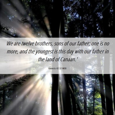 Picture 06 - Genesis 42:32 WEB - We are twelve brothers, sons of our father; one - Bible Verse Picture