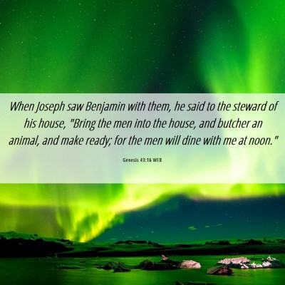 Picture 06 - Genesis 43:16 WEB - When Joseph saw Benjamin with them, he said to - Bible Verse Picture