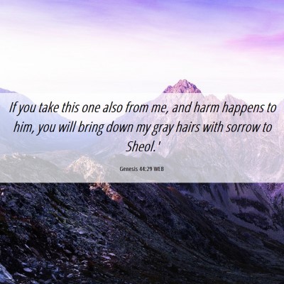 Picture 06 - Genesis 44:29 WEB - If you take this one also from me, and harm - Bible Verse Picture