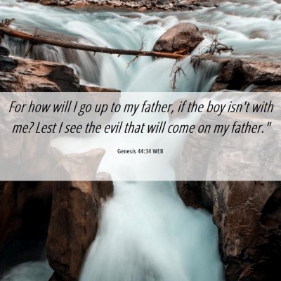 Picture 06 - Genesis 44:34 WEB - For how will I go up to my father, if the boy - Bible Verse Picture