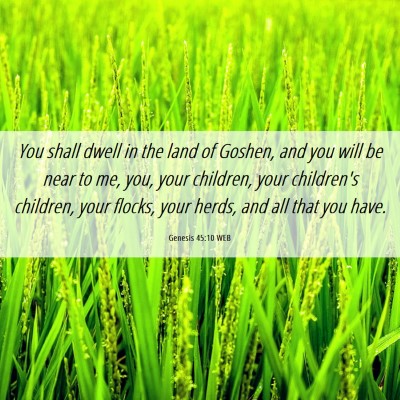 Picture 06 - Genesis 45:10 WEB - You shall dwell in the land of Goshen, and you - Bible Verse Picture