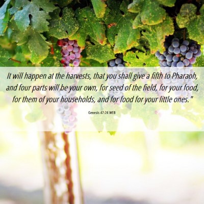 Picture 06 - Genesis 47:24 WEB - It will happen at the harvests, that you shall - Bible Verse Picture