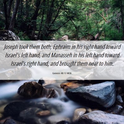 Picture 06 - Genesis 48:13 WEB - Joseph took them both, Ephraim in his right hand - Bible Verse Picture