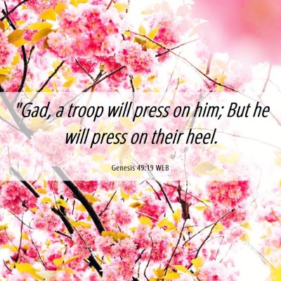 Picture 06 - Genesis 49:19 WEB - 