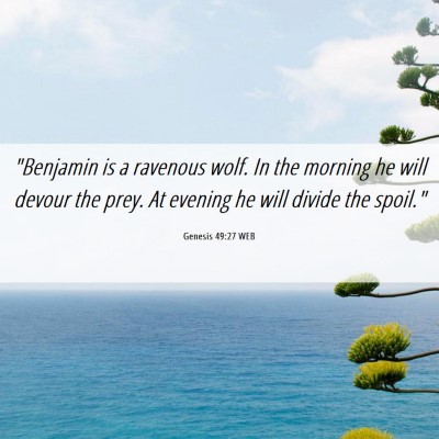 Picture 06 - Genesis 49:27 WEB - 