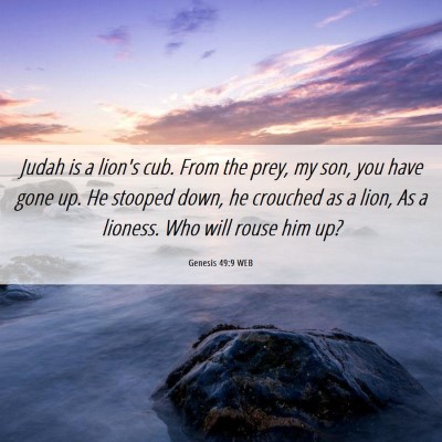 Picture 06 - Genesis 49:9 WEB - Judah is a lion's cub. From the prey, my son, you - Bible Verse Picture