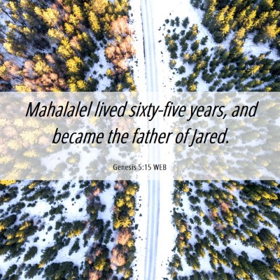 Picture 06 - Genesis 5:15 WEB - Mahalalel lived sixty-five years, and became the - Bible Verse Picture