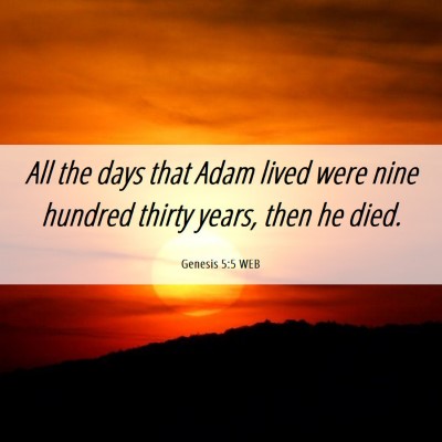 Picture 06 - Genesis 5:5 WEB - All the days that Adam lived were nine hundred - Bible Verse Picture