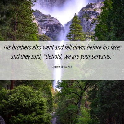 Picture 06 - Genesis 50:18 WEB - His brothers also went and fell down before his - Bible Verse Picture
