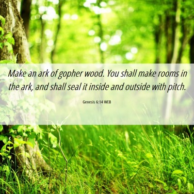 Picture 06 - Genesis 6:14 WEB - Make an ark of gopher wood. You shall make rooms - Bible Verse Picture