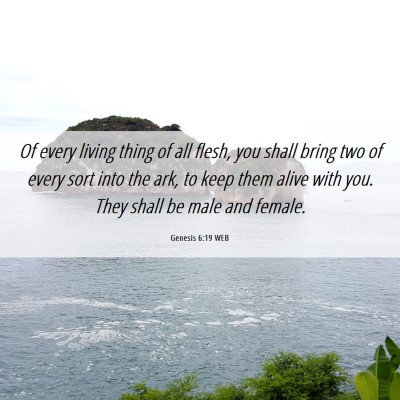 Picture 06 - Genesis 6:19 WEB - Of every living thing of all flesh, you shall - Bible Verse Picture