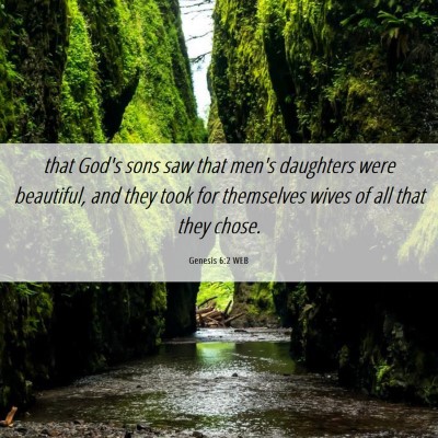 Picture 06 - Genesis 6:2 WEB - that God's sons saw that men's daughters were - Bible Verse Picture