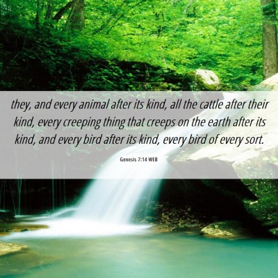 Picture 06 - Genesis 7:14 WEB - they, and every animal after its kind, all the - Bible Verse Picture