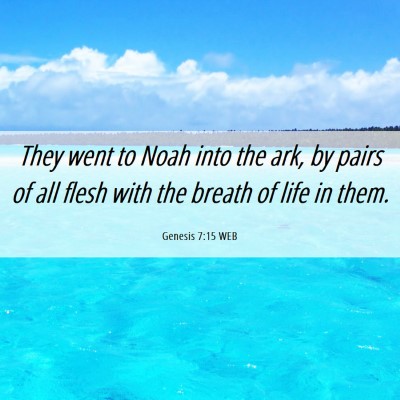 Picture 06 - Genesis 7:15 WEB - They went to Noah into the ark, by pairs of all - Bible Verse Picture