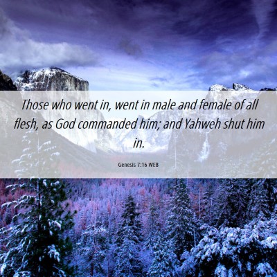 Picture 06 - Genesis 7:16 WEB - Those who went in, went in male and female of all - Bible Verse Picture