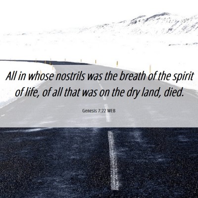 Picture 06 - Genesis 7:22 WEB - All in whose nostrils was the breath of the - Bible Verse Picture