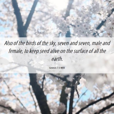 Picture 06 - Genesis 7:3 WEB - Also of the birds of the sky, seven and seven, - Bible Verse Picture