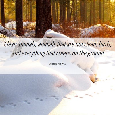Picture 06 - Genesis 7:8 WEB - Clean animals, animals that are not clean, birds, - Bible Verse Picture
