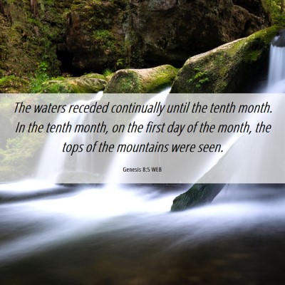 Picture 06 - Genesis 8:5 WEB - The waters receded continually until the tenth - Bible Verse Picture