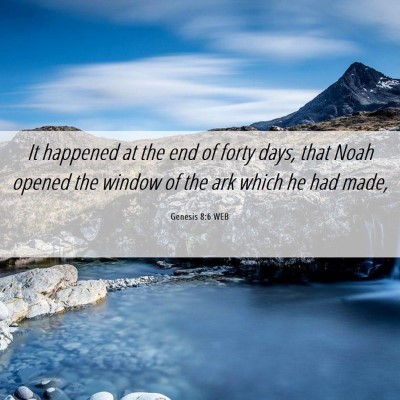 Picture 06 - Genesis 8:6 WEB - It happened at the end of forty days, that Noah - Bible Verse Picture