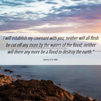 Picture 06 - Genesis 9:11 WEB - I will establish my covenant with you; neither - Bible Verse Picture