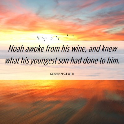 Picture 06 - Genesis 9:24 WEB - Noah awoke from his wine, and knew what his - Bible Verse Picture