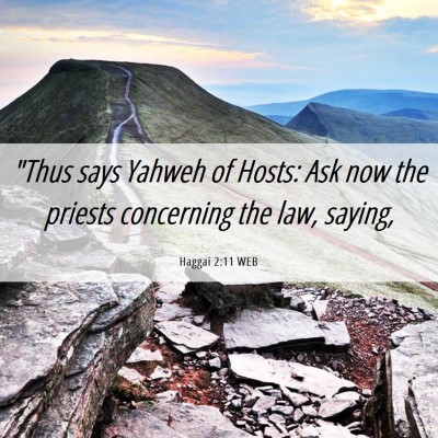 Picture 06 - Haggai 2:11 WEB - 