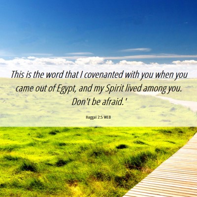 Picture 06 - Haggai 2:5 WEB - This is the word that I covenanted with you when - Bible Verse Picture