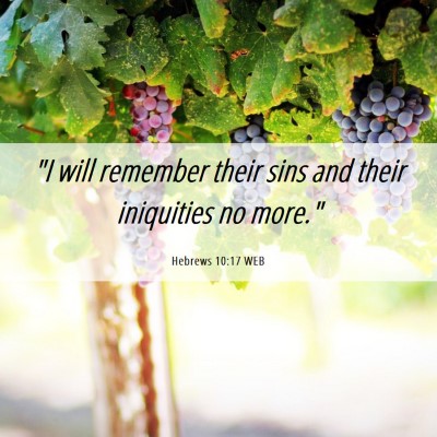 Picture 06 - Hebrews 10:17 WEB - 