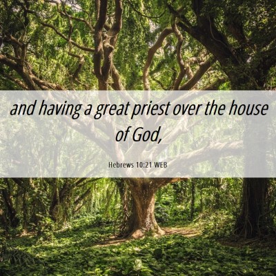 Picture 06 - Hebrews 10:21 WEB - and having a great priest over the house of - Bible Verse Picture