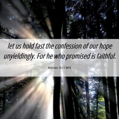 Picture 06 - Hebrews 10:23 WEB - let us hold fast the confession of our hope - Bible Verse Picture