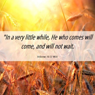 Picture 06 - Hebrews 10:37 WEB - 