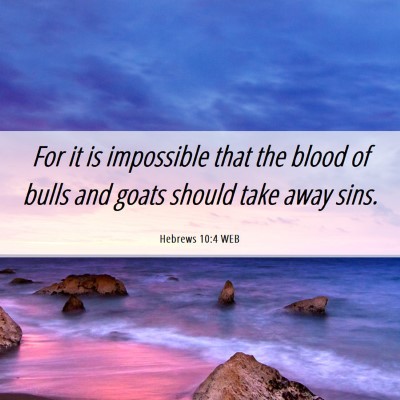 Picture 06 - Hebrews 10:4 WEB - For it is impossible that the blood of bulls and - Bible Verse Picture