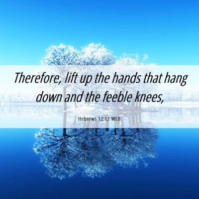 Picture 06 - Hebrews 12:12 WEB - Therefore, lift up the hands that hang down and - Bible Verse Picture