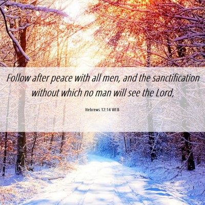 Picture 06 - Hebrews 12:14 WEB - Follow after peace with all men, and the - Bible Verse Picture