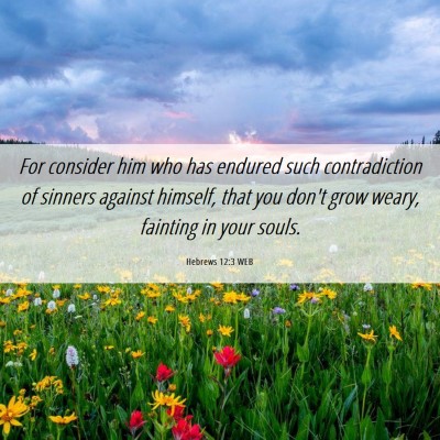 Picture 06 - Hebrews 12:3 WEB - For consider him who has endured such - Bible Verse Picture