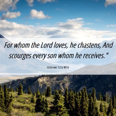 Picture 06 - Hebrews 12:6 WEB - For whom the Lord loves, he chastens, And - Bible Verse Picture